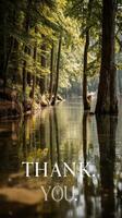 Tranquil river reflecting trees in peaceful forest during golden hour creating a serene atmosphere of gratitude photo