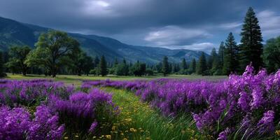 Vibrant purple flowers blanket a serene valley surrounded by majestic mountains and tall trees on a cloudy day photo