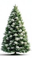Lush green tree adorned with white snowflakes showcases winter beauty in a serene setting photo
