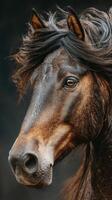 Close up of a majestic black horse with flowing mane captured in a serene moment during golden hour in a natural environment photo