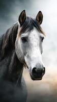 Majestic gray horse gazing into the distance in a serene setting during early morning photo