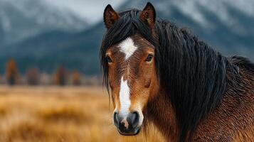 Majestic horse stands in a golden field with mountains in the background during a cloudy day photo