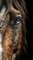Majestic close-up of a horse's eye capturing the beauty and detail of its coat and expression at sunset in a serene environment photo