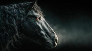Close-up of a majestic black horse showcasing its elegant features in a dramatic setting photo