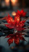 Vibrant red maple leaf resting on a wet surface reflecting in still water during autumn season photo