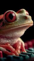 Close-up of a vibrant red-eyed tree frog resting on a colorful surface at night photo