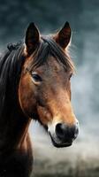 Majestic horse portrait captured in soft light on a cool day in a tranquil countryside setting photo