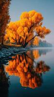 Vibrant autumn trees reflecting on a calm river during early morning light photo