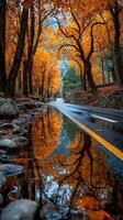 Autumn trees create a vibrant reflection in a puddle beside a winding road in the mountains photo