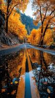 Autumn road reflects vibrant colors of nature during a peaceful morning in a forested area photo