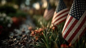 Flags in a garden display honoring patriotism during a sunny day outside photo