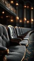Elegant theater seating arrangement in a vintage performance hall illuminated by warm lighting photo