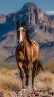 Majestic horse galloping through arid landscape with mountain backdrop during sunny day photo
