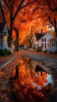 Autumn street with vibrant orange leaves reflecting in puddle during golden hour in a quaint neighborhood photo