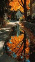 Colorful autumn leaves reflect in a tranquil puddle beside a picturesque street in a quaint neighborhood photo