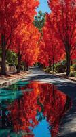 Vibrant autumn trees line a quiet street reflecting brilliant red colors in puddles photo