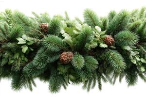 Vibrant greenery with pinecones and fern leaves arranged for festive decoration during winter season photo