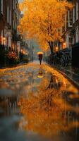 Colorful autumn street scene with a person under an umbrella in a picturesque neighborhood photo