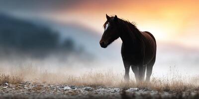 Horse standing in fog at sunrise in a serene landscape with mountains in the background photo