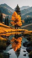 Autumn reflection of vibrant trees by a tranquil stream in mountainous landscape at sunset photo