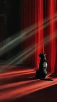Dog sitting in soft light, gazing at red curtains in a dimly lit room during the evening hours photo
