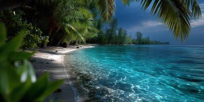 Tranquil tropical beach at dusk with clear blue water and lush palm trees framing the shoreline photo