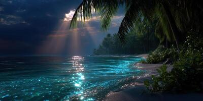 Beautiful tropical beach at twilight with shimmering water and palm trees silhouette photo