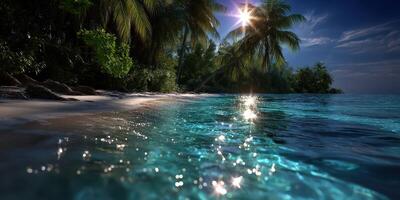 Nighttime beach view with shimmering water and palm trees under the moonlight in a tropical paradise photo