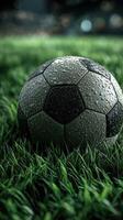 Dewy soccer ball resting on vibrant green grass during a rainy evening at the stadium photo