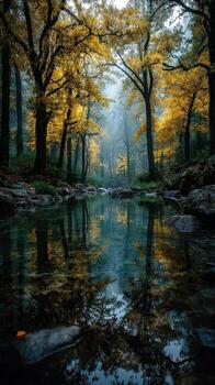 Serene river flowing through autumn trees in a misty forest at dawn photo