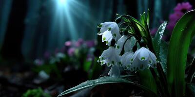 Delicate white flowers bloom in a misty forest illuminated by soft, ethereal light during early spring photo
