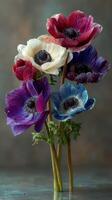 Colorful anemone flowers arranged in a bouquet on a neutral background during natural lighting photo