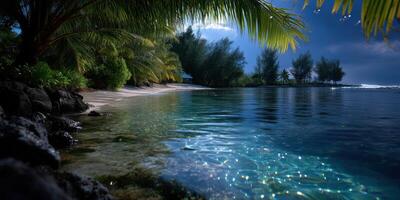 Tranquil tropical beach at dusk with shimmering water and swaying palm trees photo