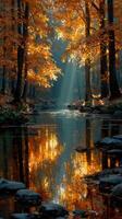 Autumn sunlight filters through trees over a serene stream in a tranquil forest landscape photo