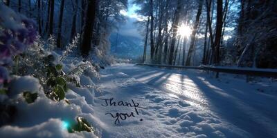 Winter landscape with handwritten message in snow at sunset along forest path photo