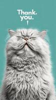 Fluffy gray cat with eyes closed expressing gratitude against a solid teal background photo