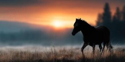 Silhouette of a horse walking through tall grass at sunset in a tranquil landscape photo