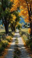 Beautiful autumn pathway lined with trees and fields in a rural setting under clear skies photo
