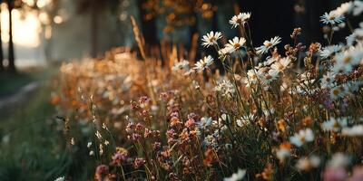 Colorful wildflowers bloom in a serene field during golden hour near a tranquil lake photo