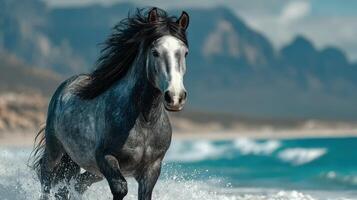 Majestic horse galloping along a pristine beach on a sunny day near rocky cliffs photo