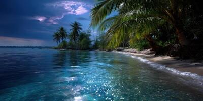 Serene tropical beach with palm trees and calm waters during twilight in an idyllic seaside location photo