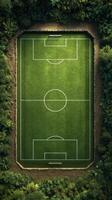 Soccer field surrounded by lush greenery in a tropical forest setting during daytime photo