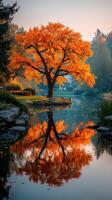 Vibrant autumn tree reflects on still lake in morning light, surrounded by serene nature photo