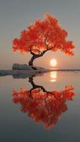 Vibrant autumn tree reflected in calm waters at sunset creating a serene landscape in nature photo