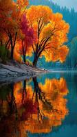 Colorful autumn trees reflect on a serene lake at sunset in a tranquil landscape setting photo