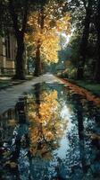 Reflective autumn landscape with golden leaves and tranquil waters in a serene park setting photo