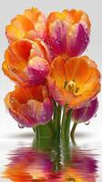 Brightly colored tulips reflecting in water create a vibrant display of nature's beauty in springtime photo
