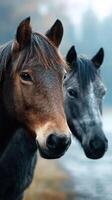 Horses standing close together in a serene landscape near a calm body of water during a misty morning photo