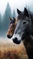 Horses standing in a misty field near a forest during early morning hours photo