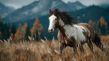 Majestic horse galloping through golden grassland with mountains in the backdrop during autumn photo